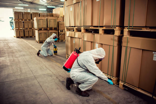 Best Best Pest Control Companies  in Hibbing, MN