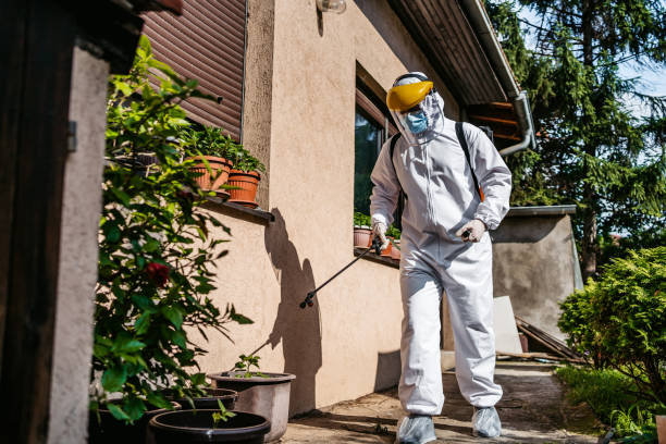 Best Residential Pest Control  in Hibbing, MN