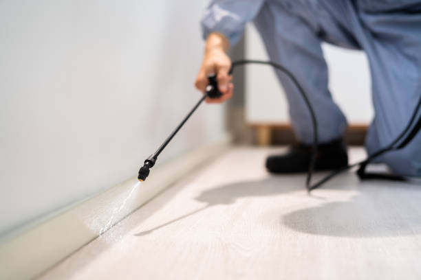 Professional Pest Control in Hibbing, MN
