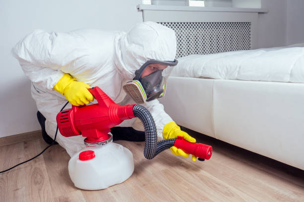 Best Affordable Pest Control Services  in Hibbing, MN