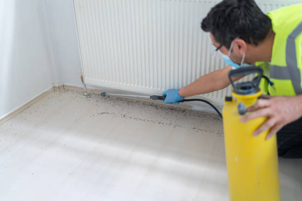 Best Affordable Pest Control Services  in Hibbing, MN